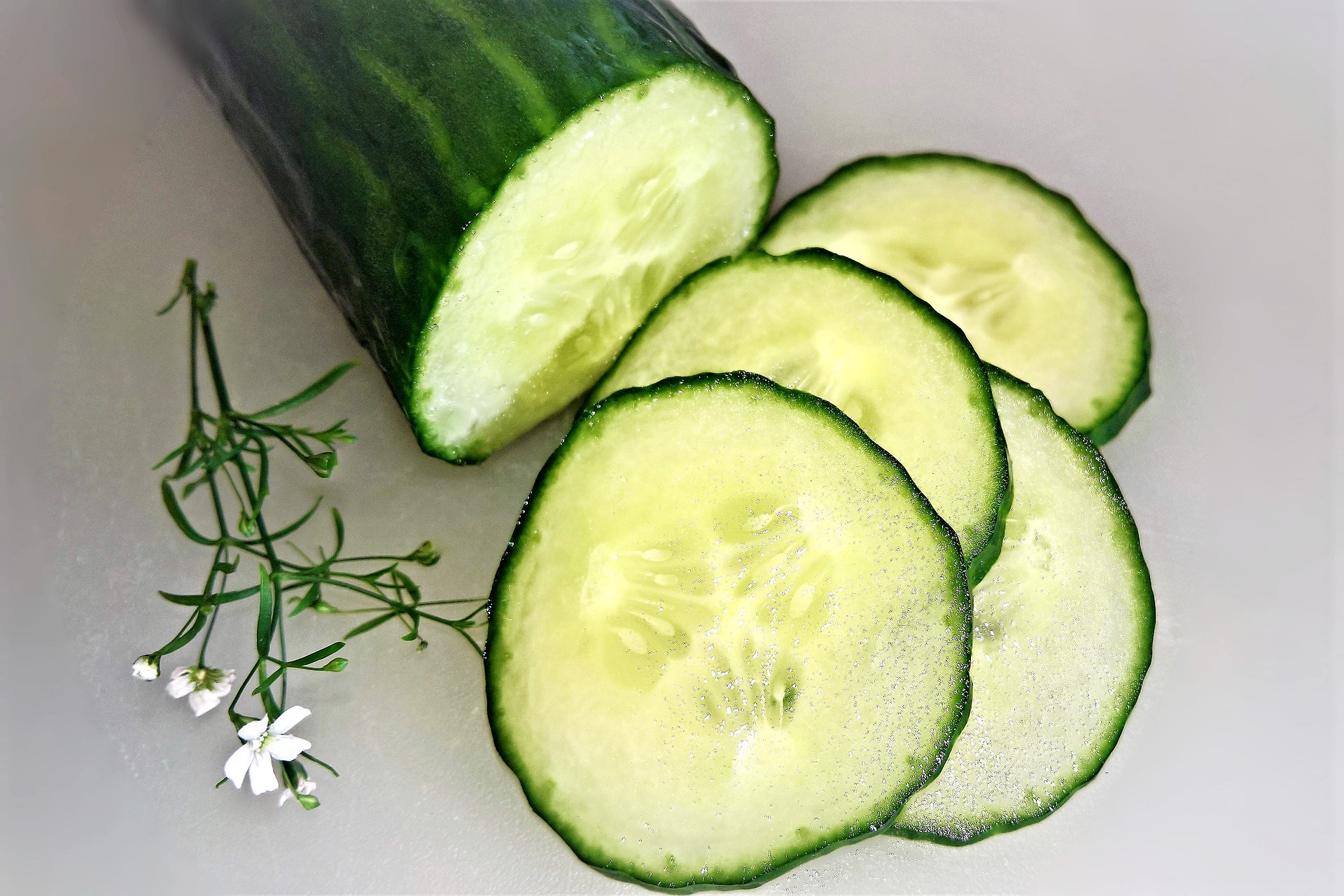 cucumber pleco