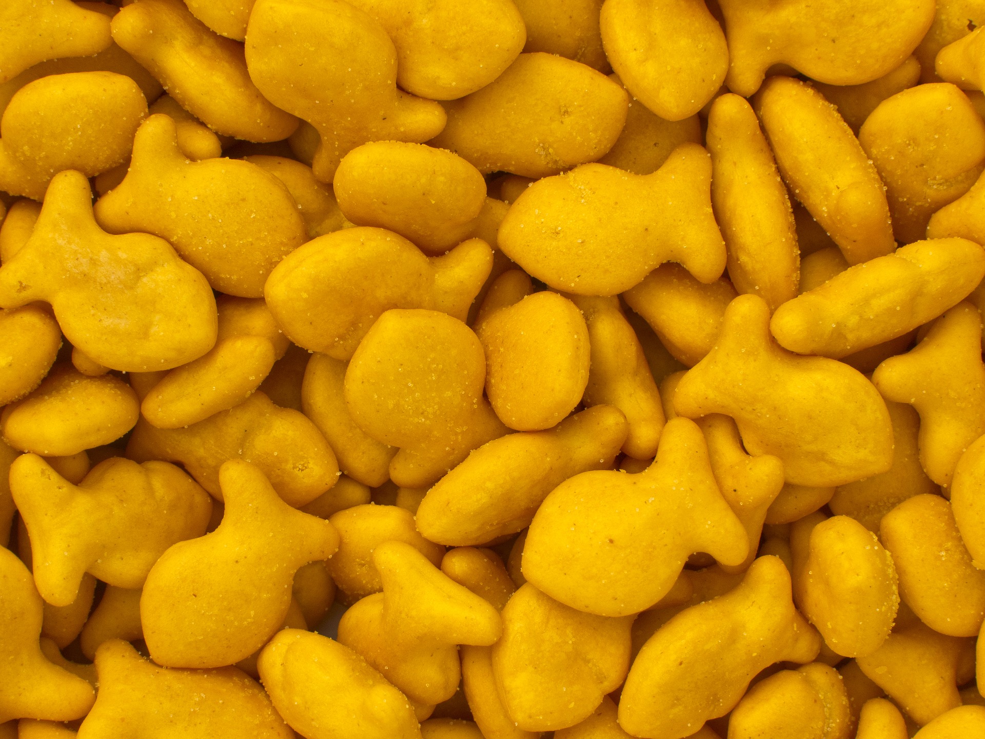 goldfish crackers